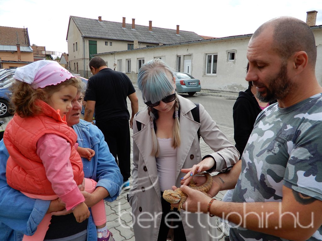 10 éves a Pethouse állatorvosi rendelő 08